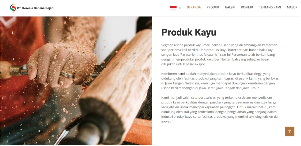 Website 1